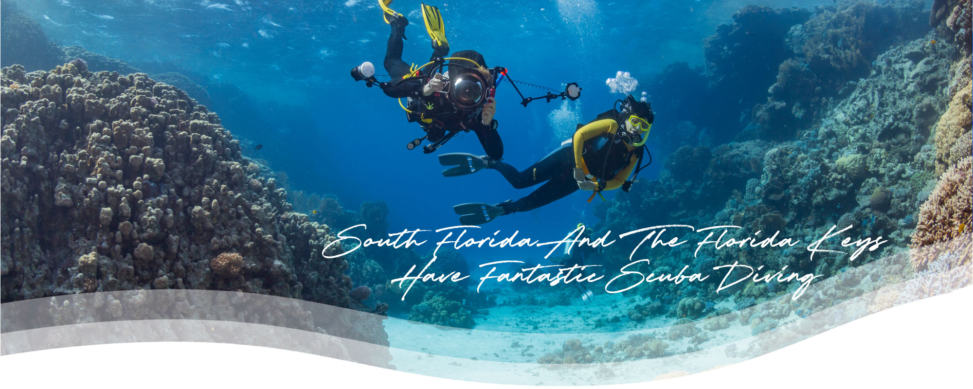 south florida attractions