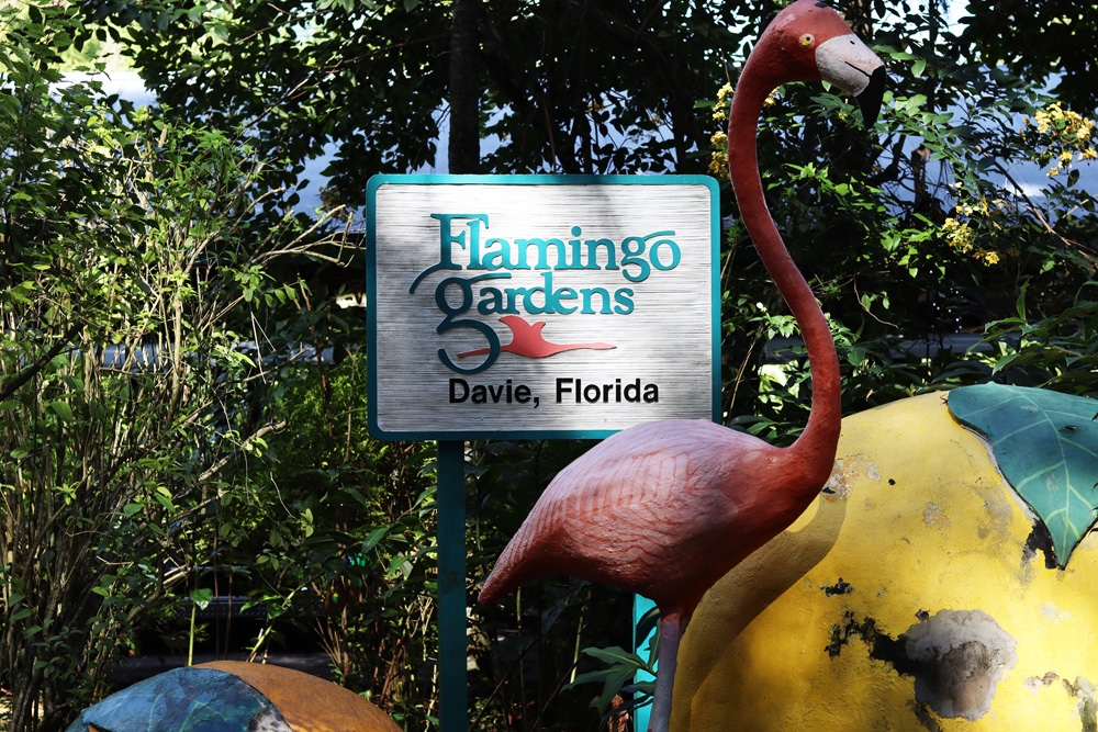 Flamingo Gardens